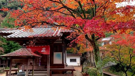 西山興隆寺